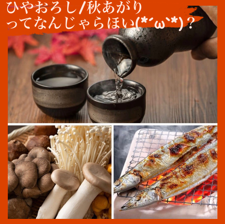 『ひやおろし/秋あがり』って何じゃろほい(´･ω･`)？