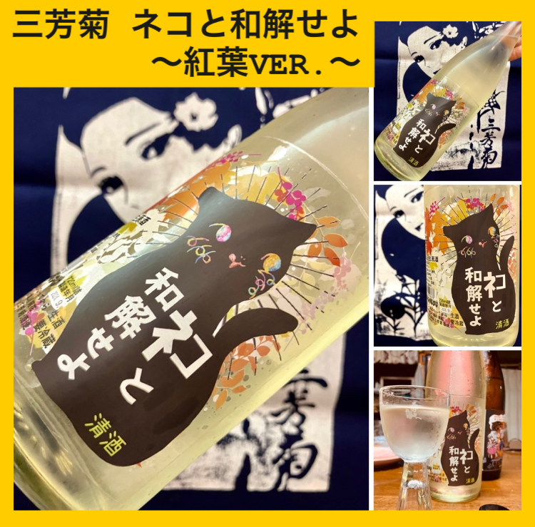 秋のお便り第8号！『三芳菊 ネコと和解せよ 〜紅葉VER.〜』