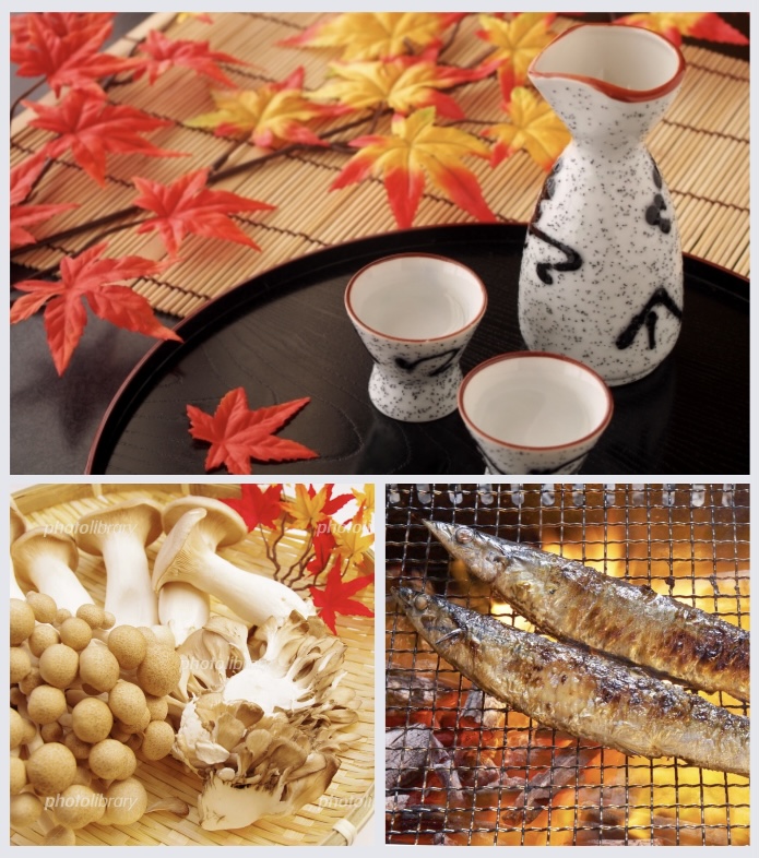 呑兵衛さん大好きな魔法の言葉… 『ひやおろし/秋あがり』って何じゃろほい(´・ω・`)?