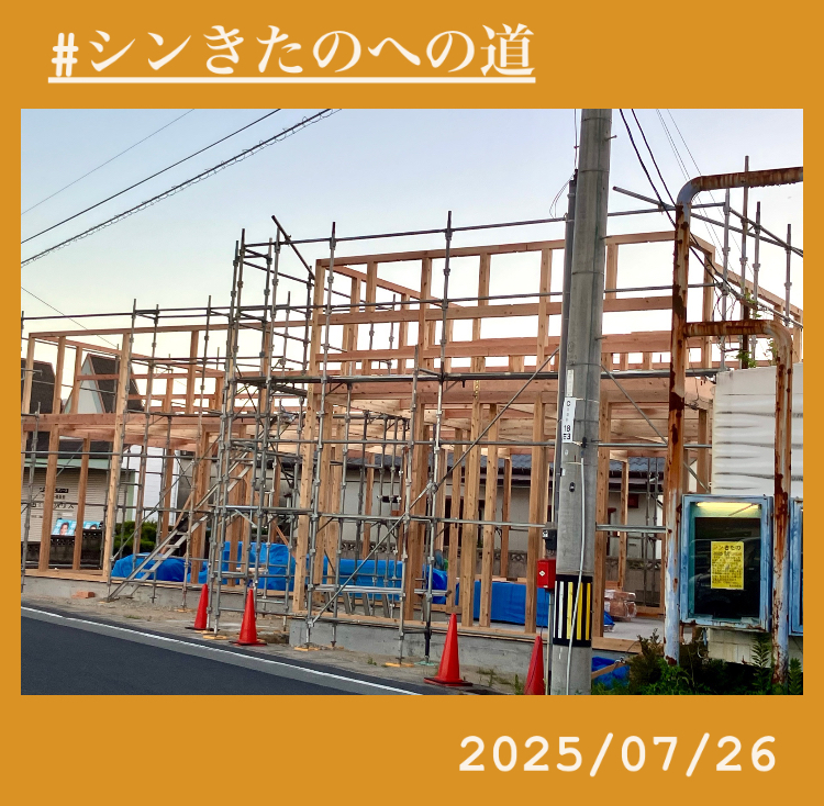 『シンきたのへの道！』