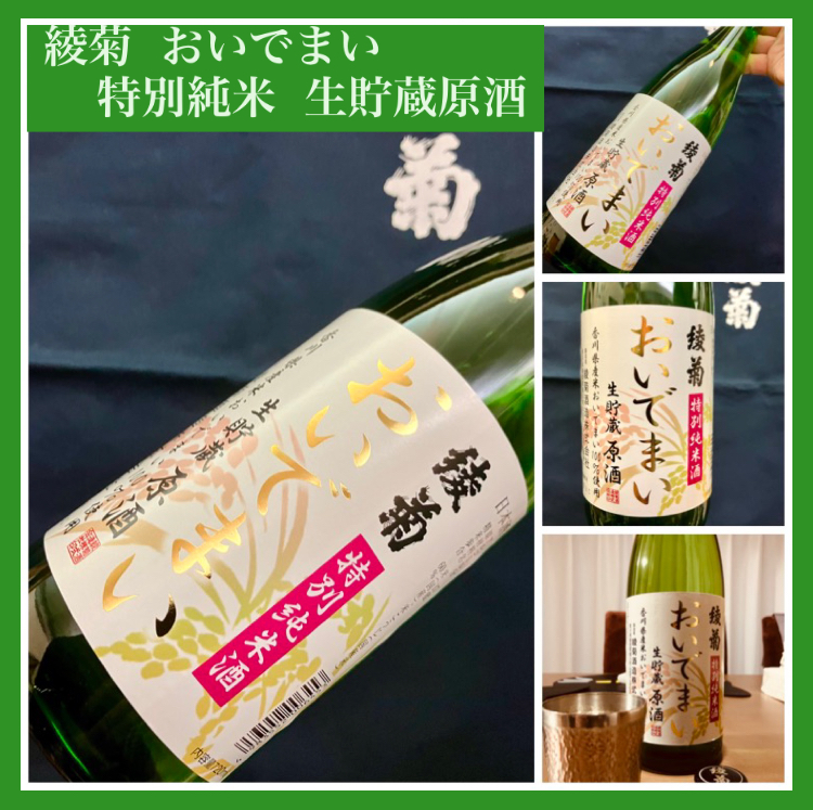 “時季・数量限定の爽やかなお酒！” 『綾菊 特別純米〈おいでまい〉生貯蔵原酒』