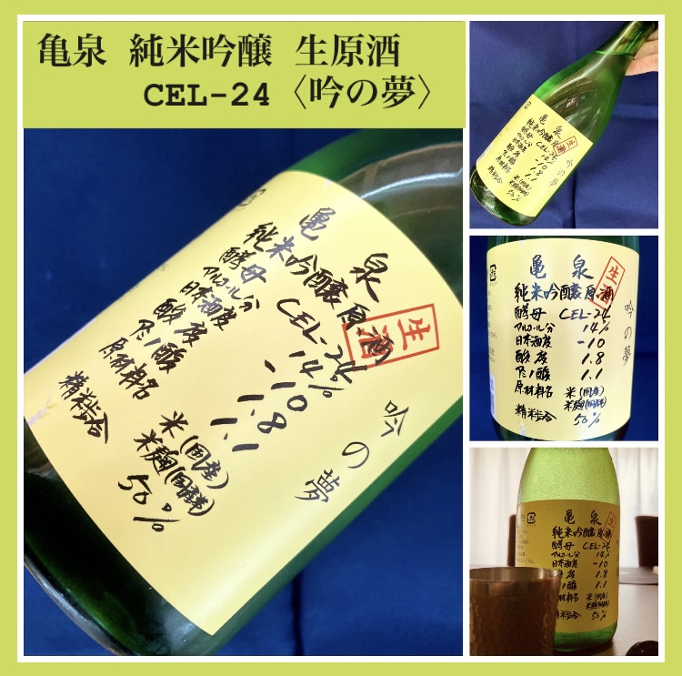 今期の新米新酒しぼりたて！『亀泉 純米吟醸 生原酒 CEL-24〈吟の夢〉』