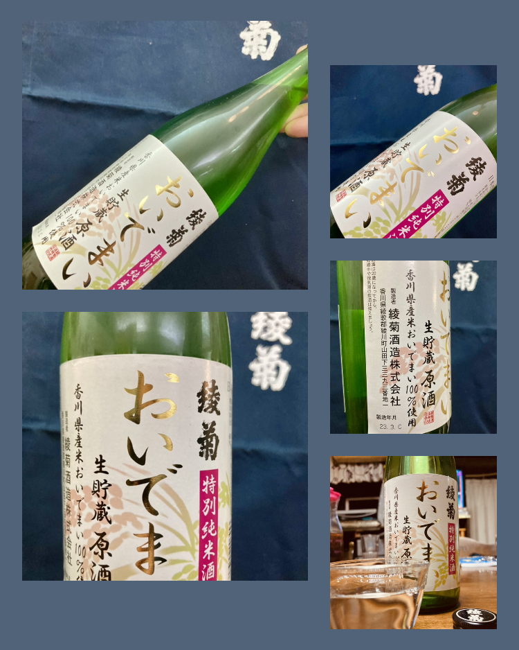 “時季・数量限定の爽やかなお酒！” 『綾菊 特別純米〈おいでまい〉生貯蔵原酒』