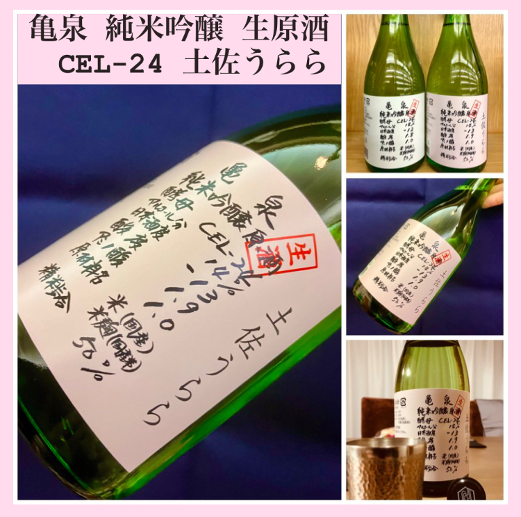 今期の新米新酒しぼりたて!『亀泉 純米吟醸 生原酒〈CEL-24〉土佐うらら』