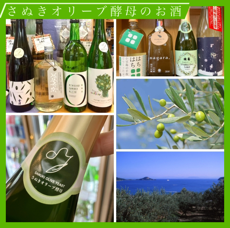 3月15日は「オリーブの日」！ 『さぬきオリーブ酵母の日本酒人気です♪』