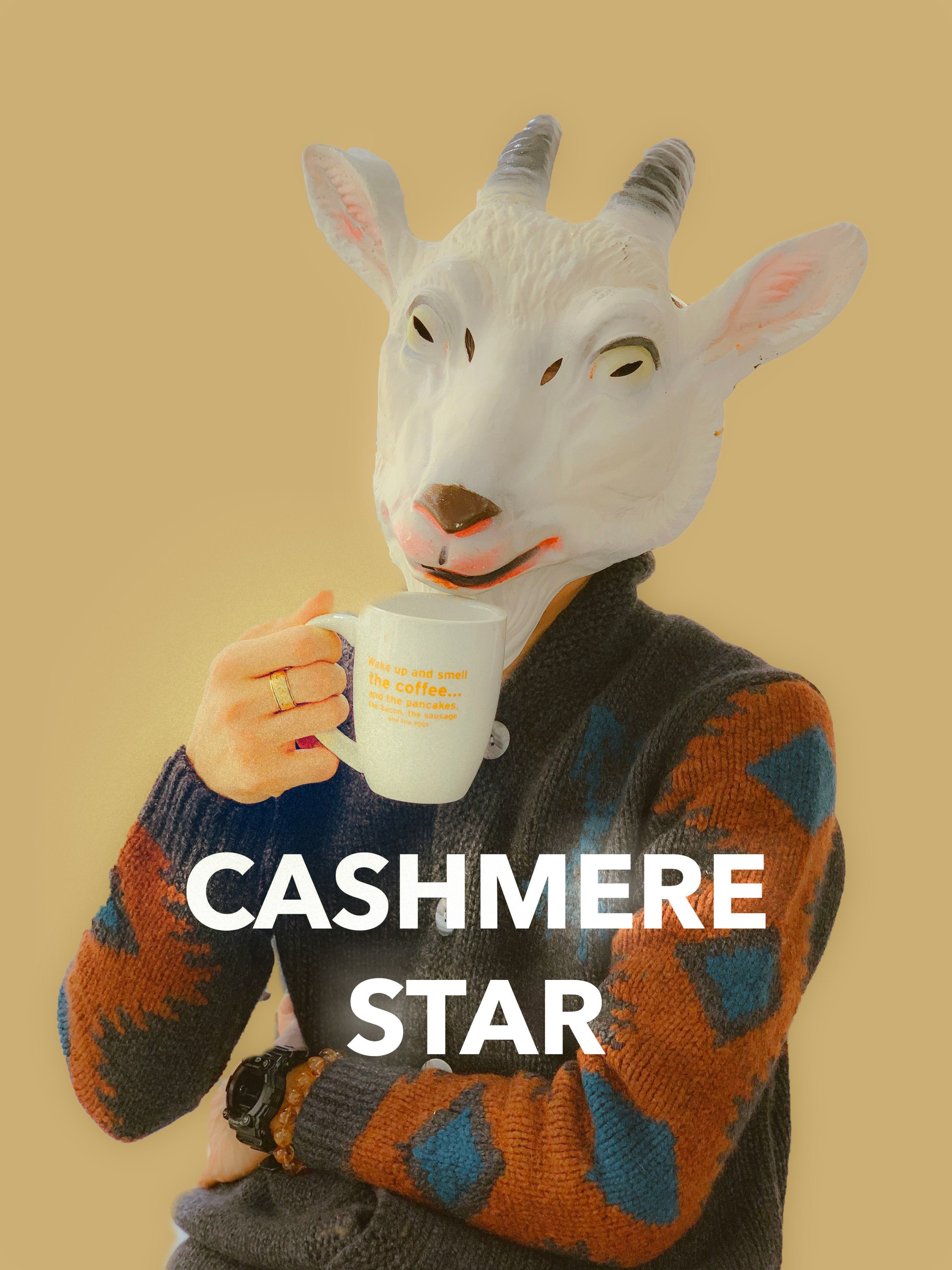 CASHMERE STAR