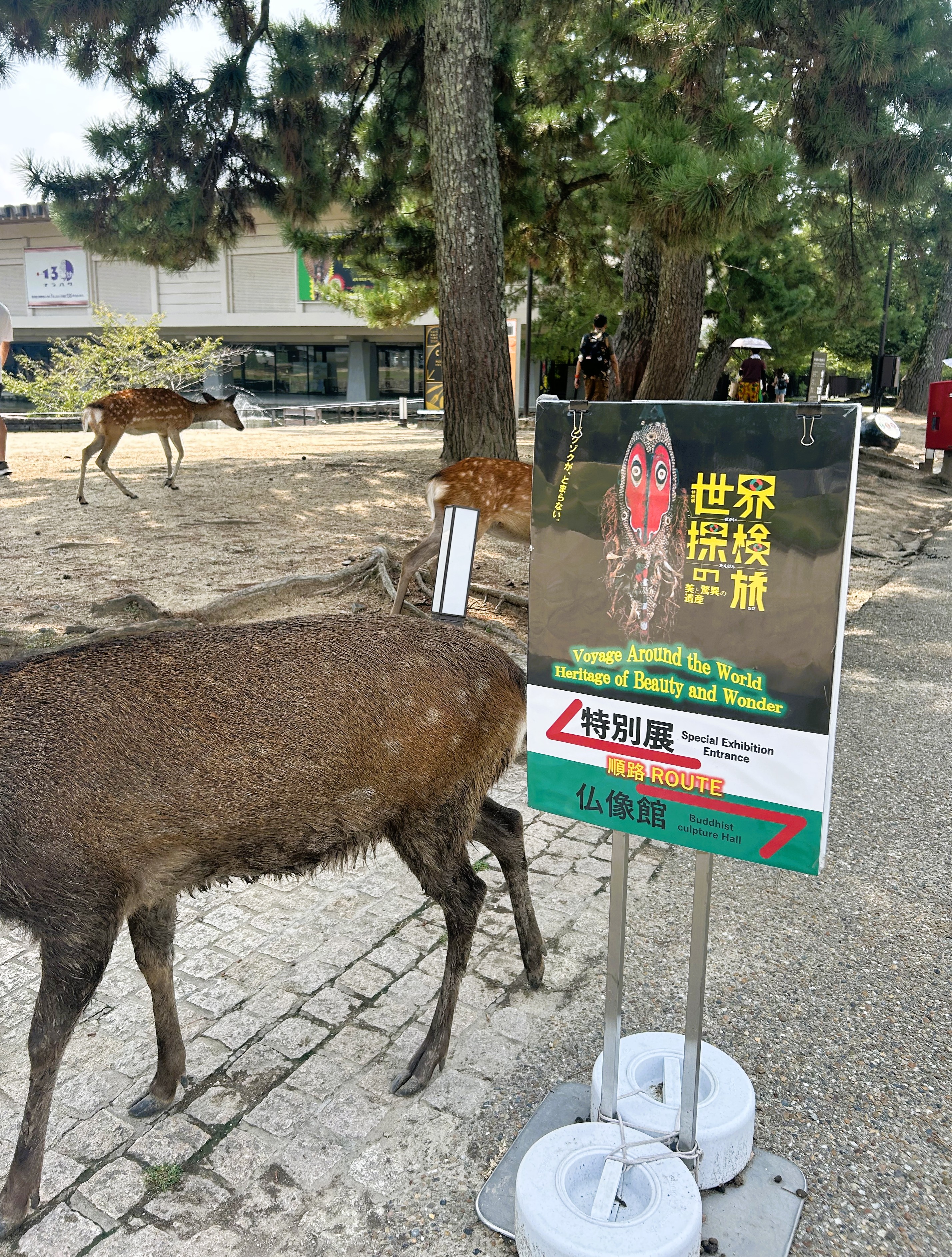 奈良国立博物館へ