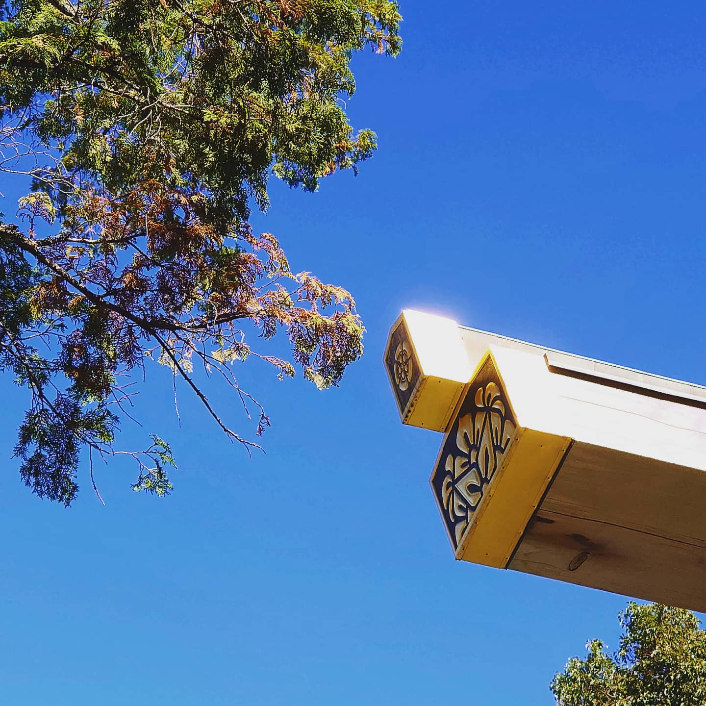 お伊勢参りの様子はInstagramから