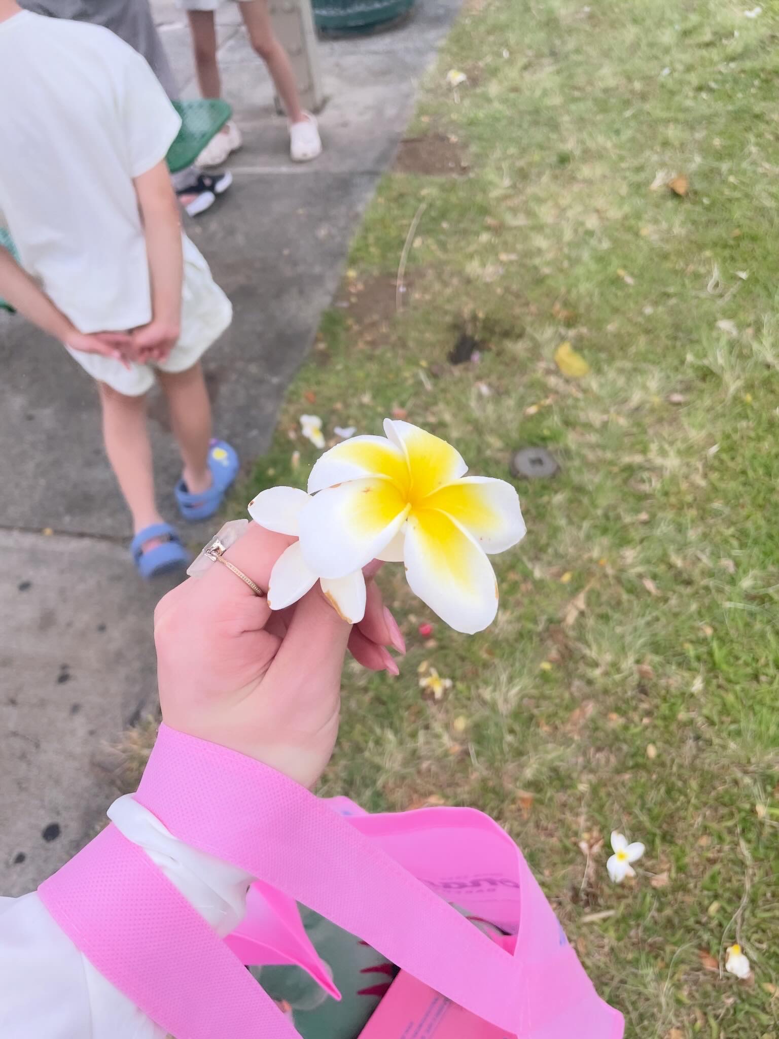 ひとりごと✦ฺ