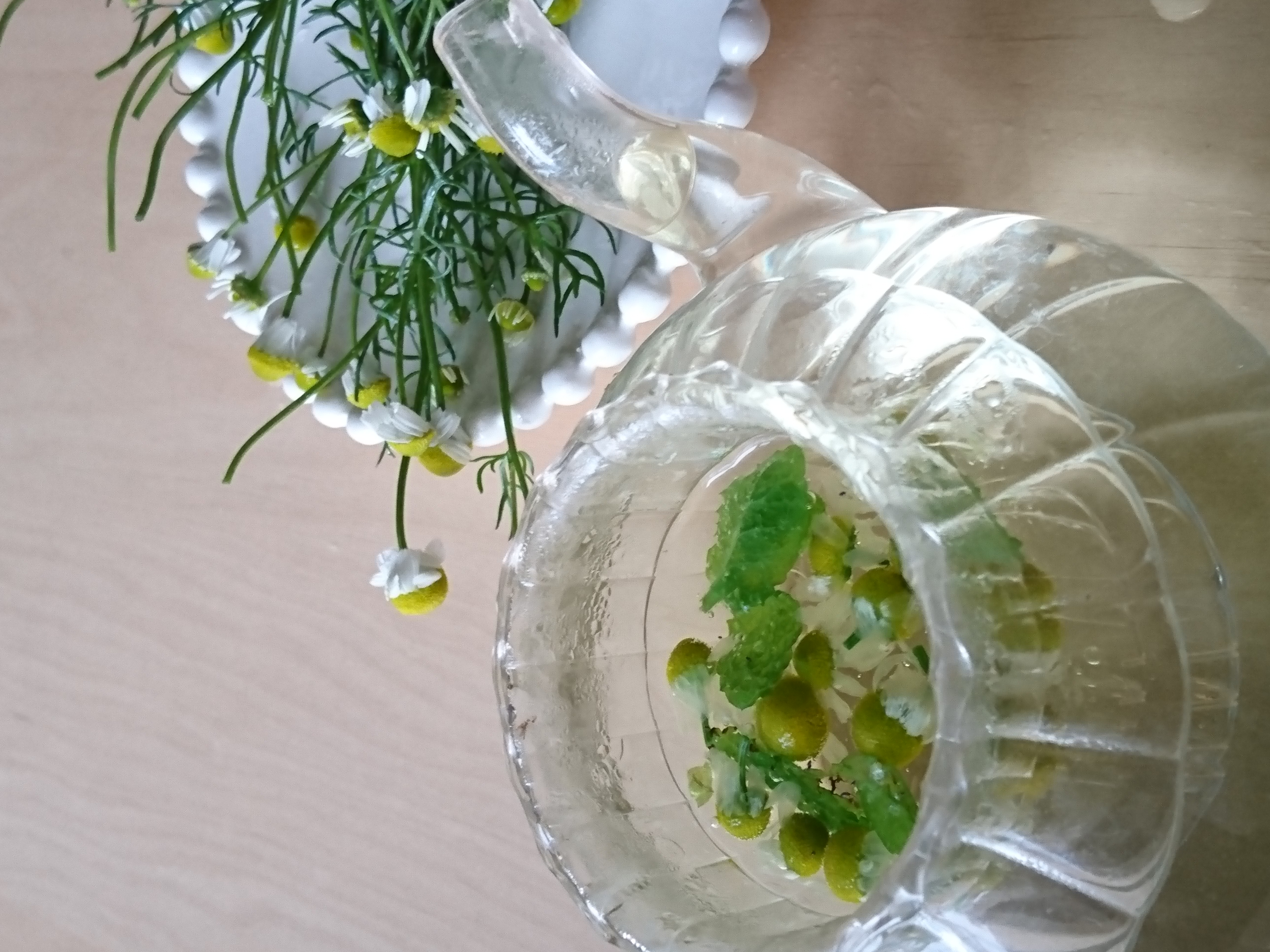 メディカルハーブとは