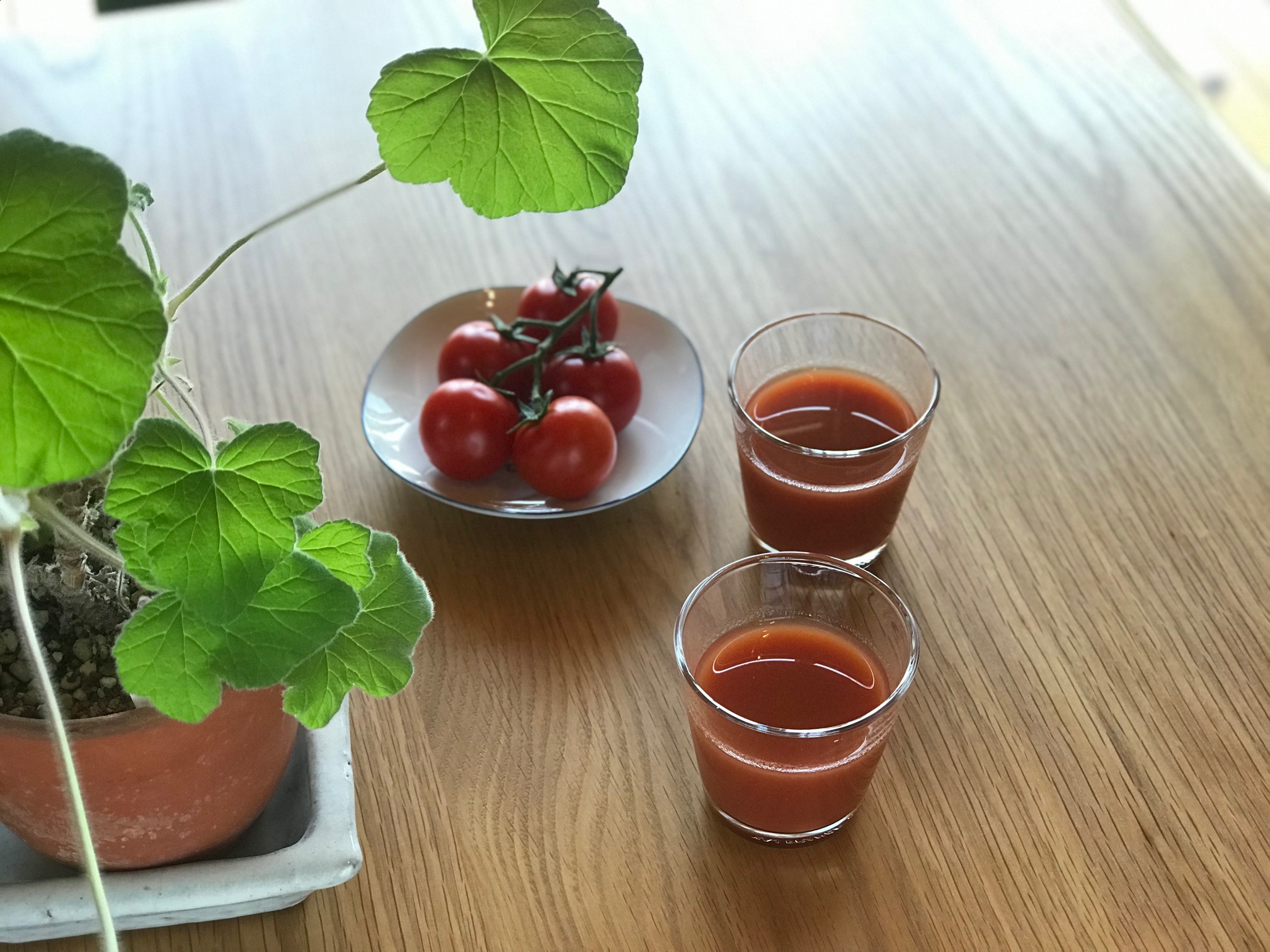 7/29 トマトジュースの発送にお時間をいただいております