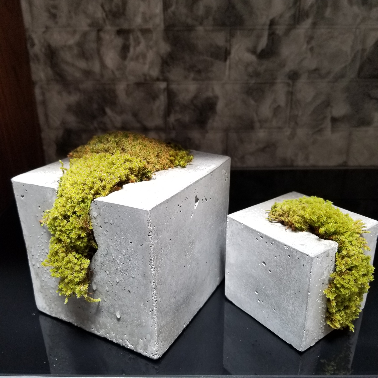 苔植え付けオブジェ