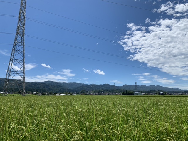 秋の日