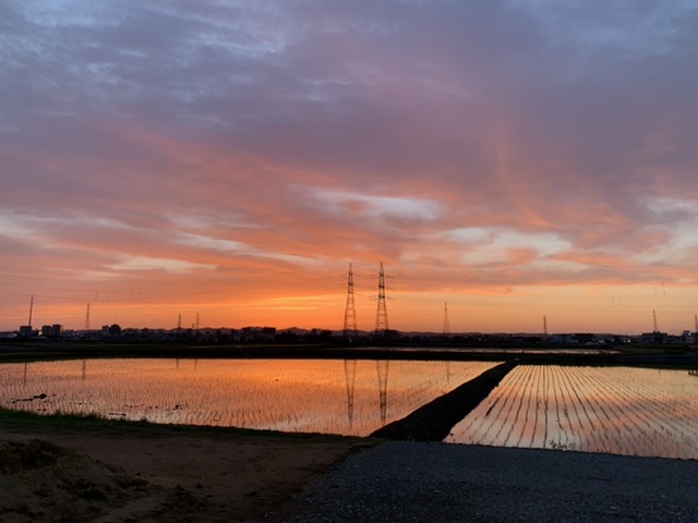 田植えシーズンは…