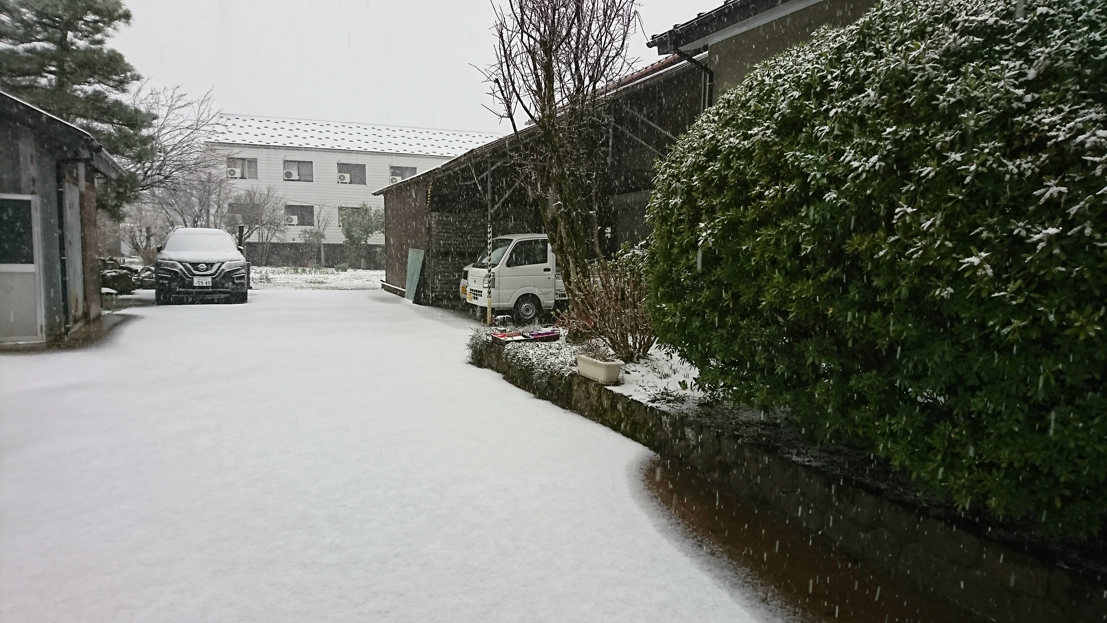 なごりおしいの。