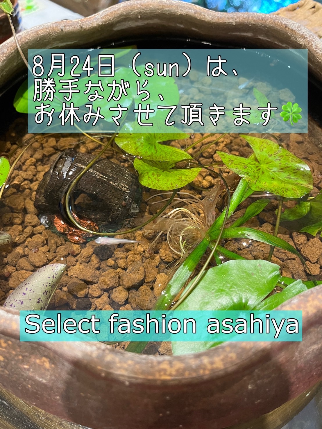 24日は、お休みいただきます🍀