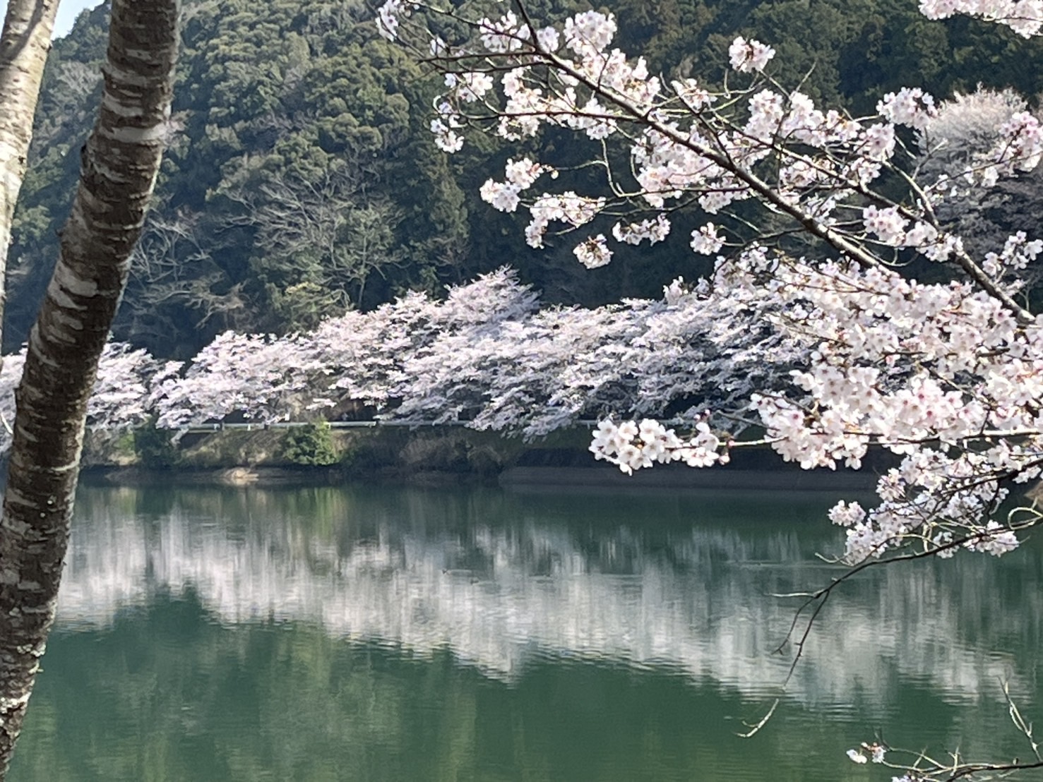 4月のおすすめ商品🌸