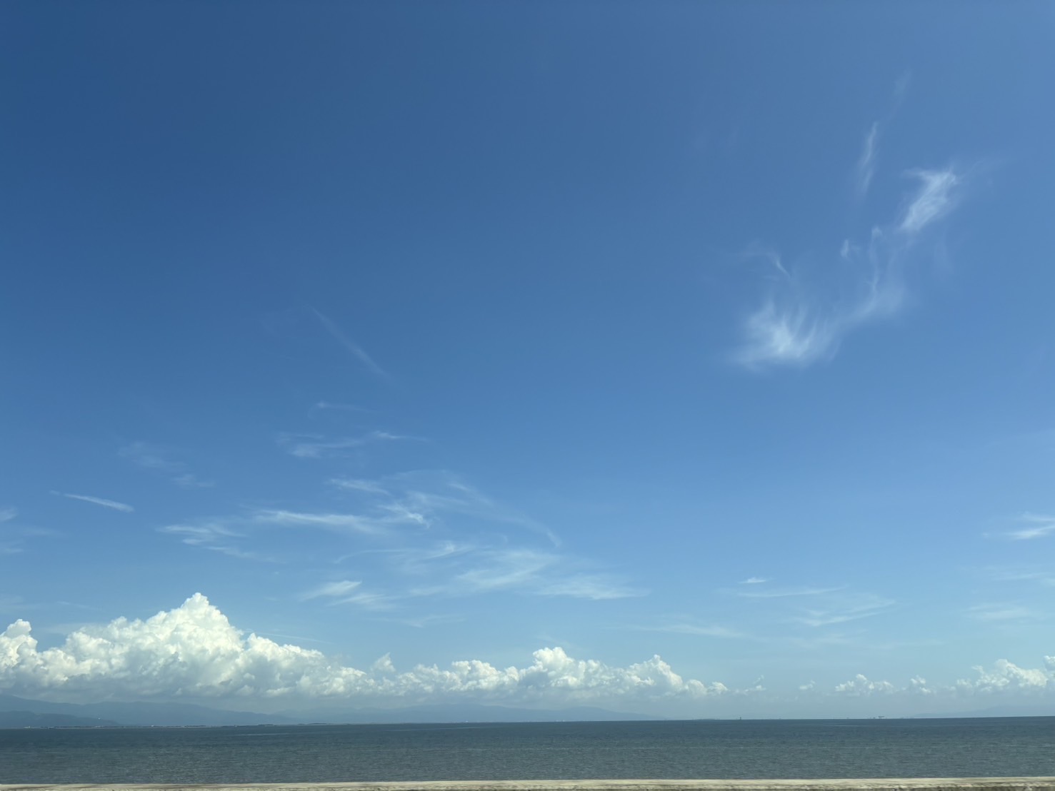 9月のおすすめ商品🍂