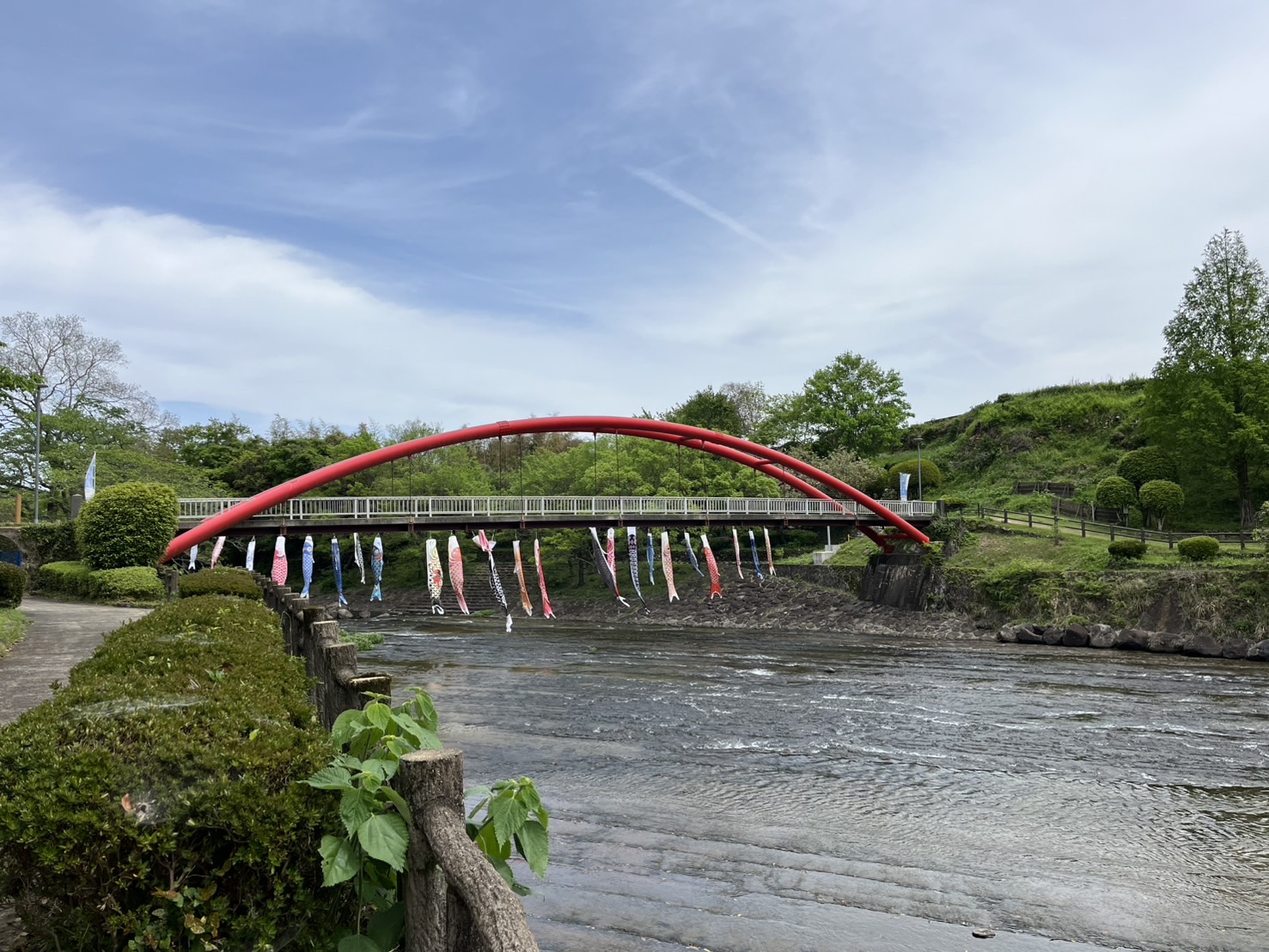 初夏もの入荷しました🌱