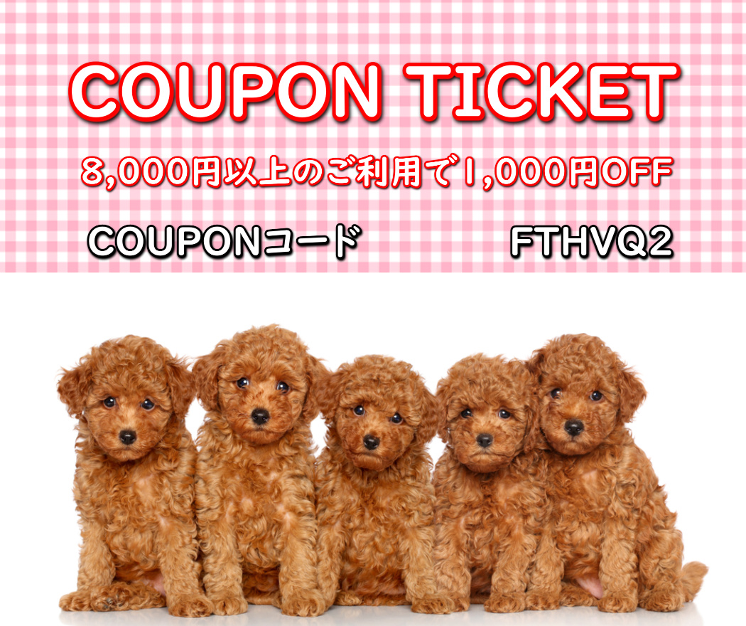 🐶春夏2021年新作にも使えるクーポン