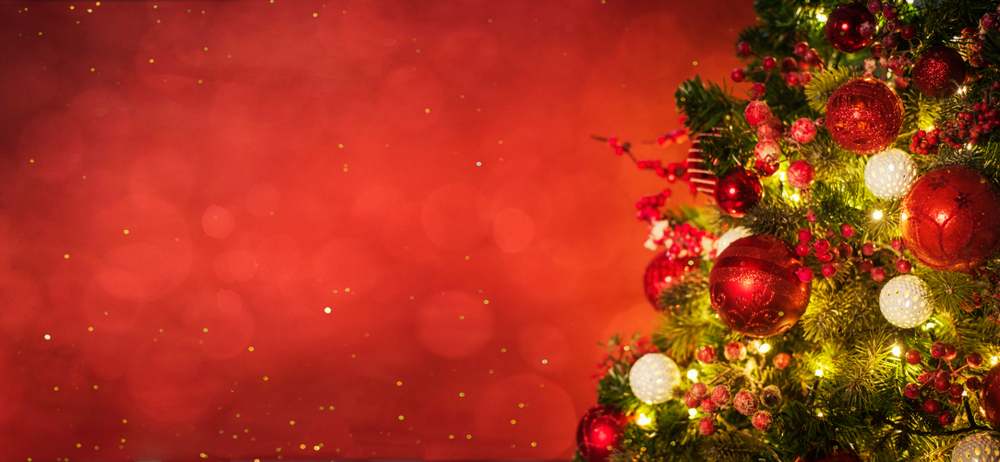 ❤X'masイブ 24日までにお届け ワンちゃんとのおうち時間を過ごすX'mas Lucky Bag