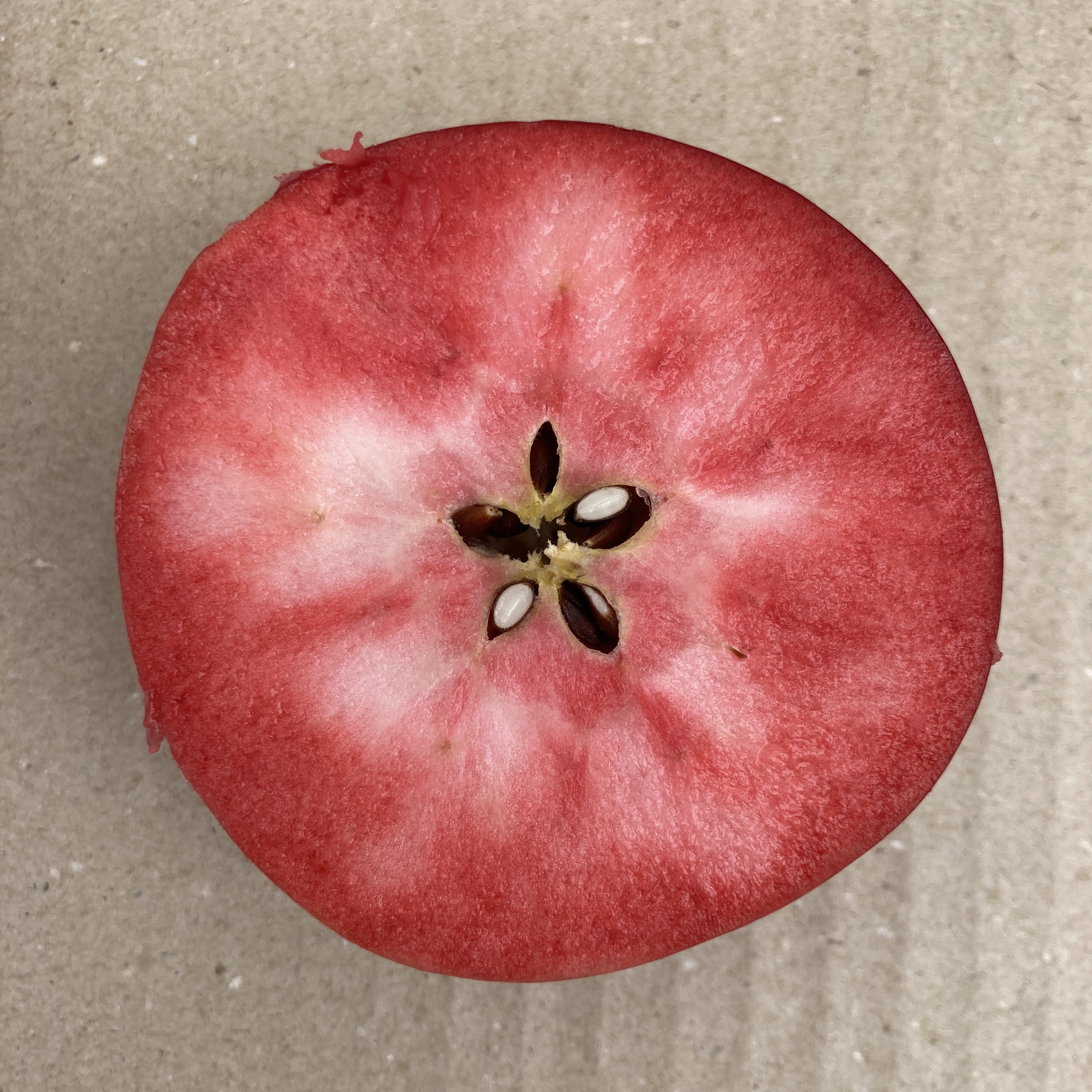 【食材紹介】唯一無二の味。果肉まで赤いりんご：レッドキュー
