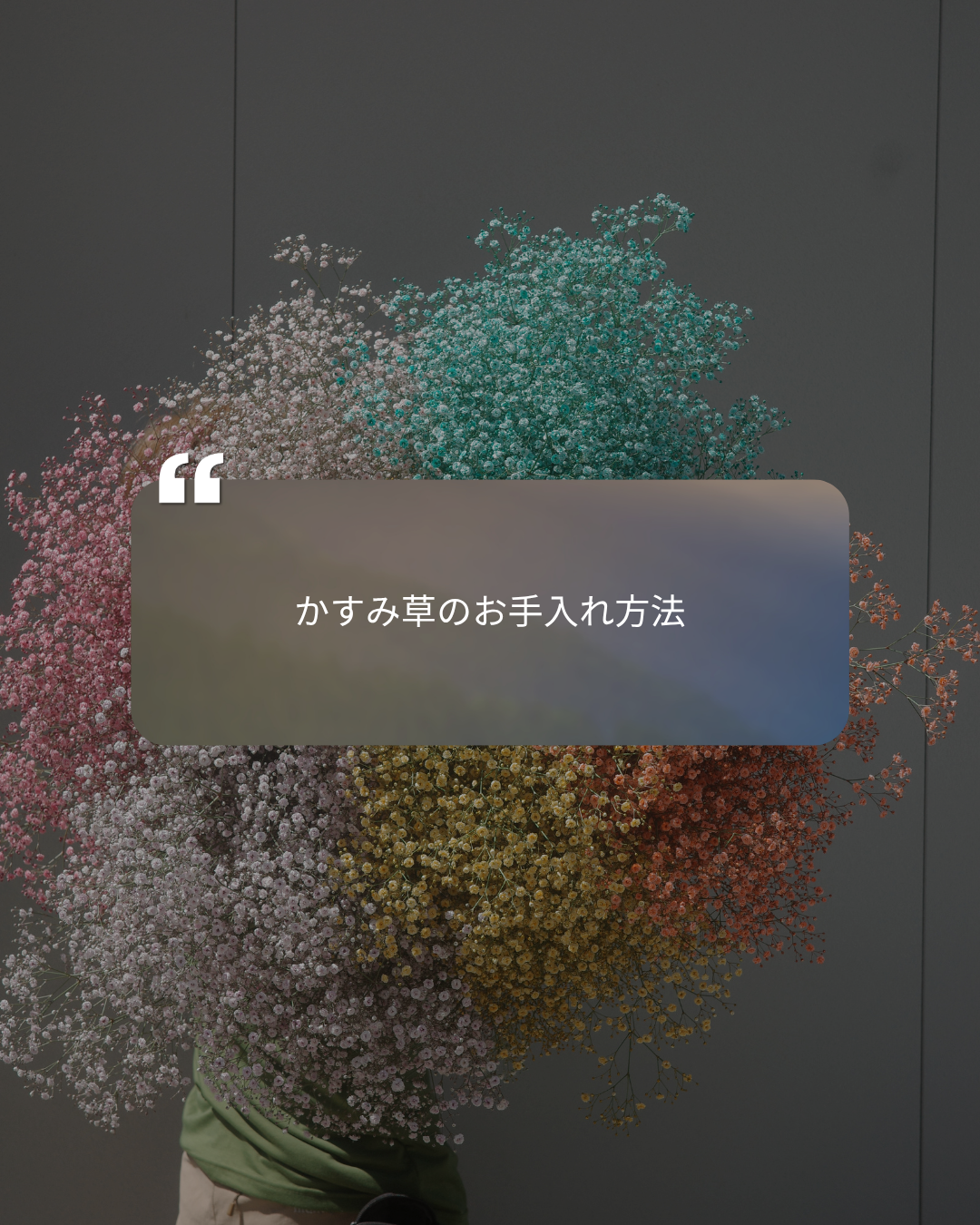 かすみ草のお手入れ方法