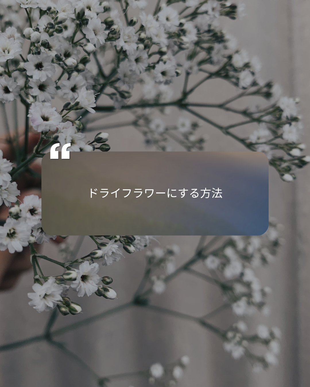 ドライフラワーの方法