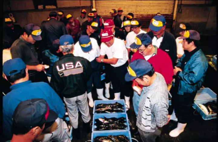 魚とともに歩んできた 老舗魚問屋