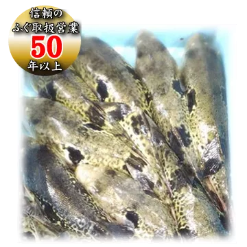 本場下関ふぐ老舗問屋から 「安心安全」のふぐを