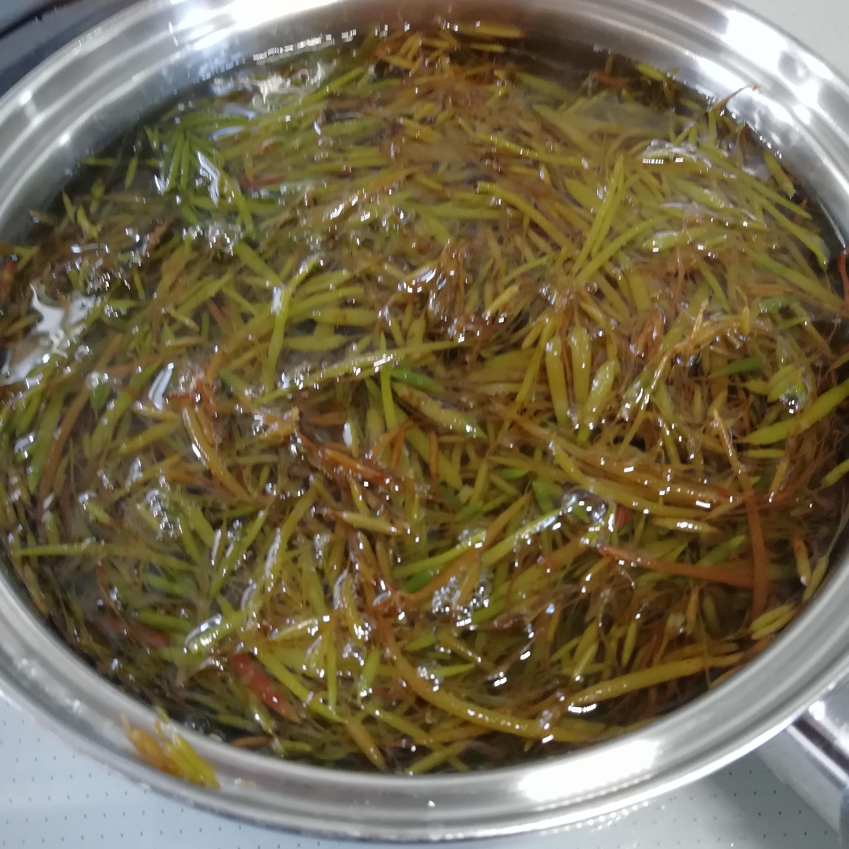 アカモク食べてみた。