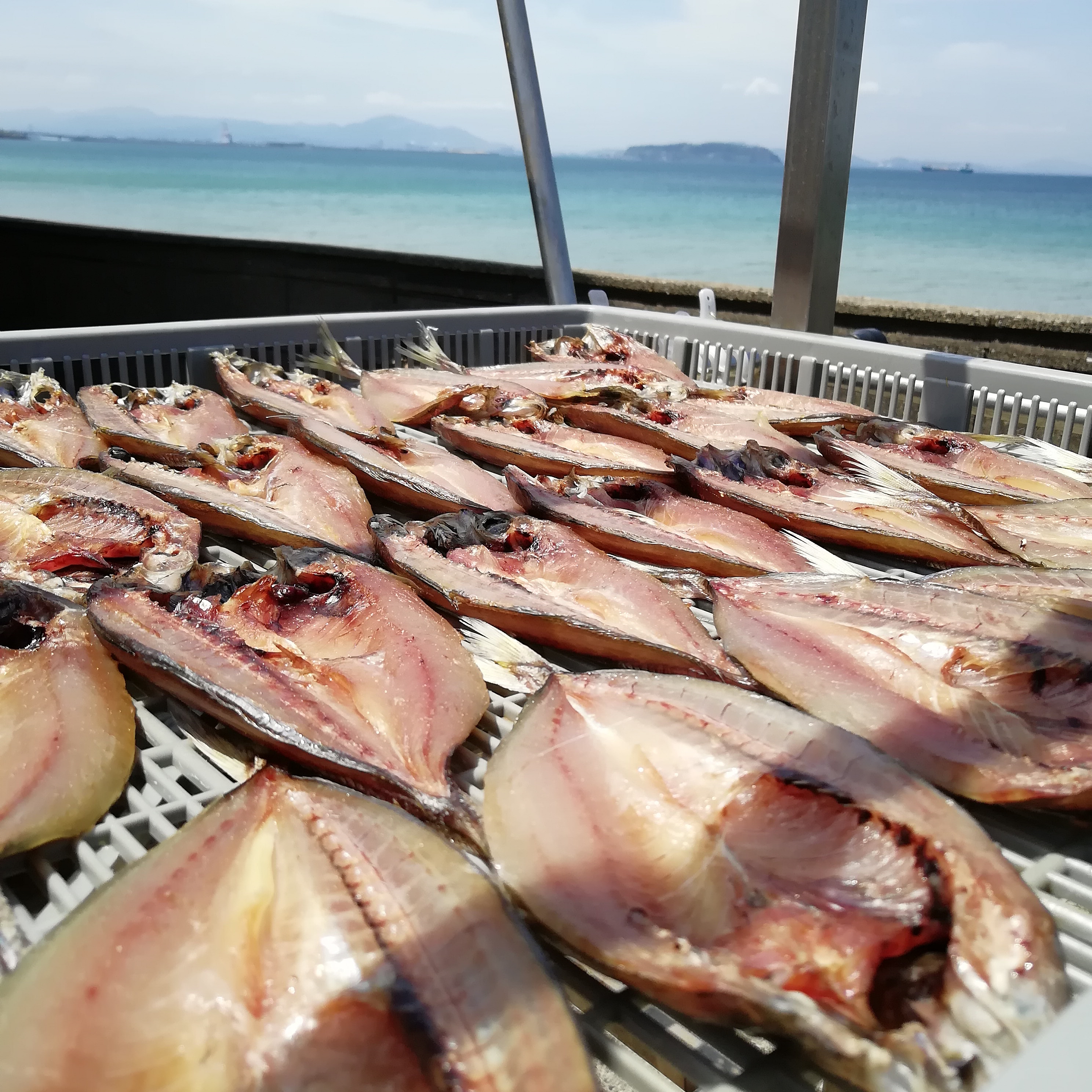 海とあじ。