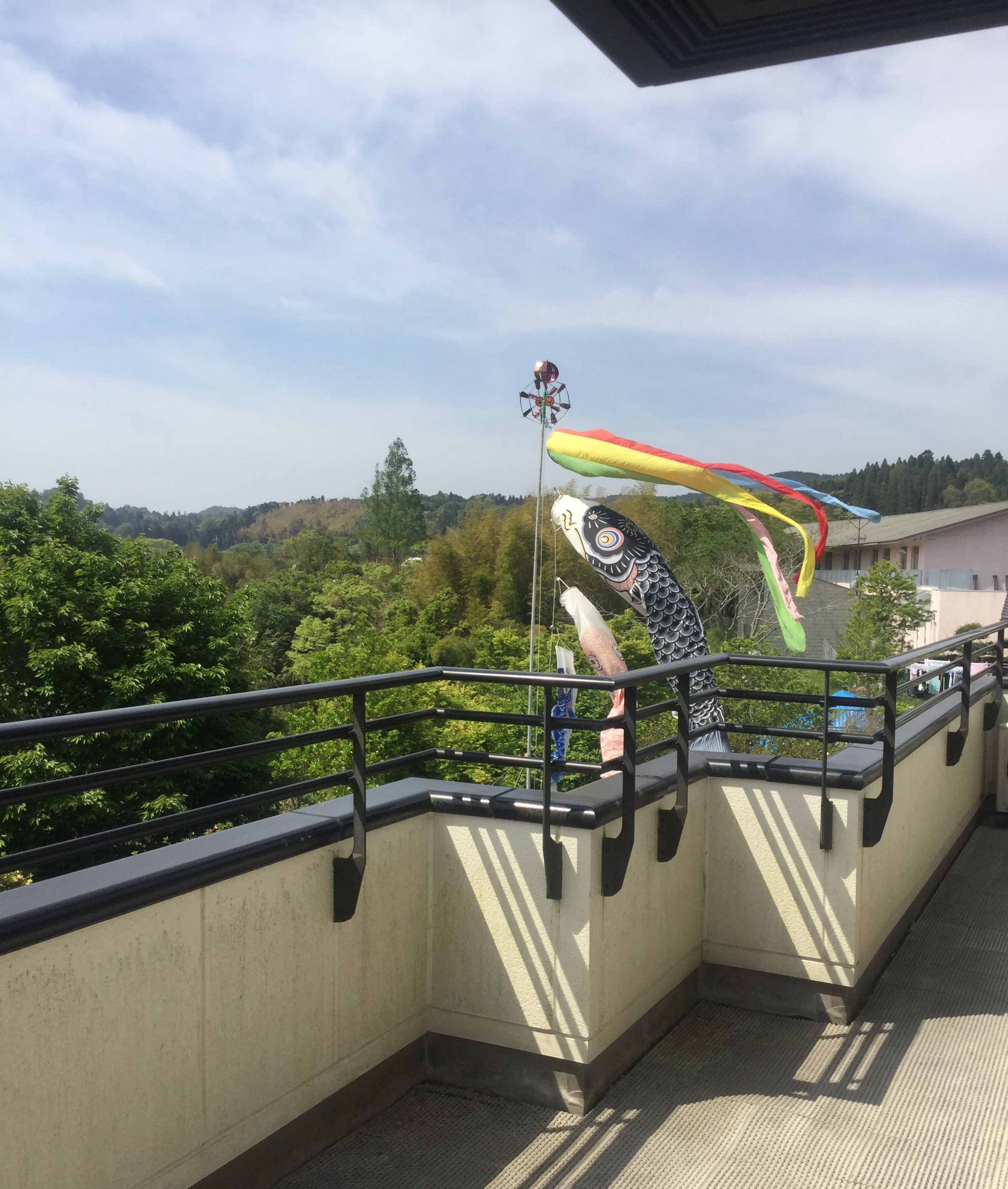 屋根より低い