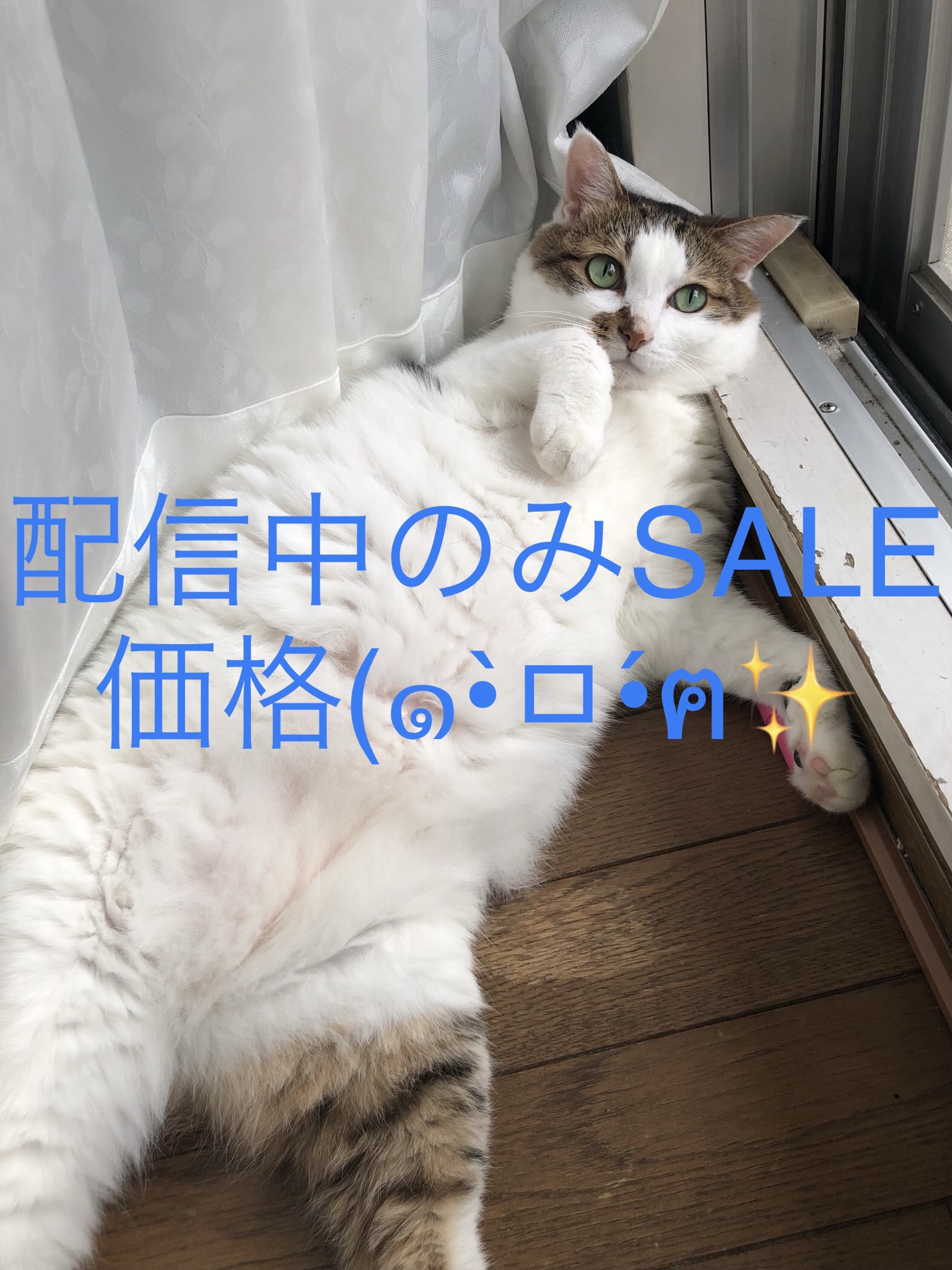 ♡24日旧作SALE予定♡