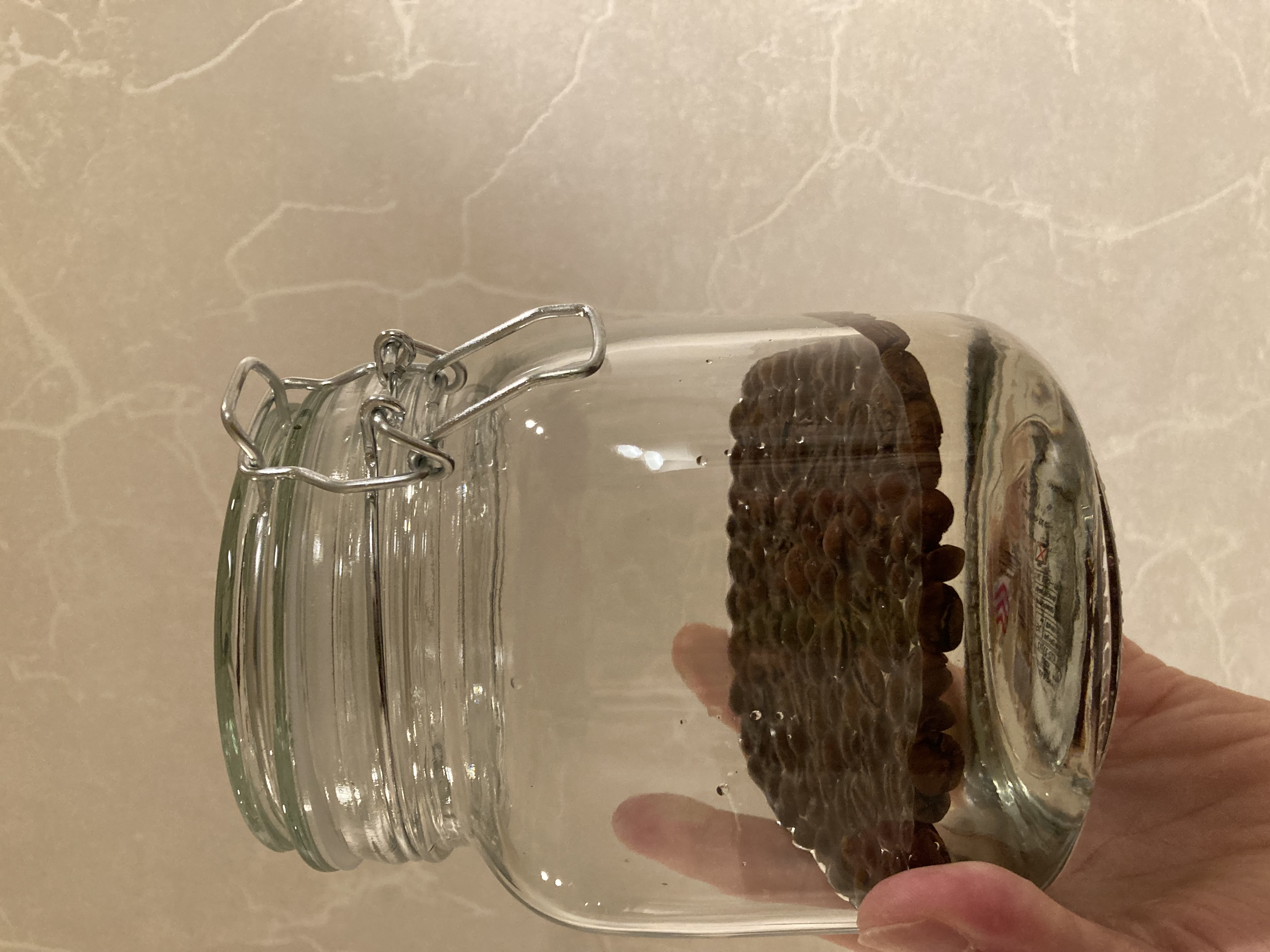 コーヒーとテキーラ