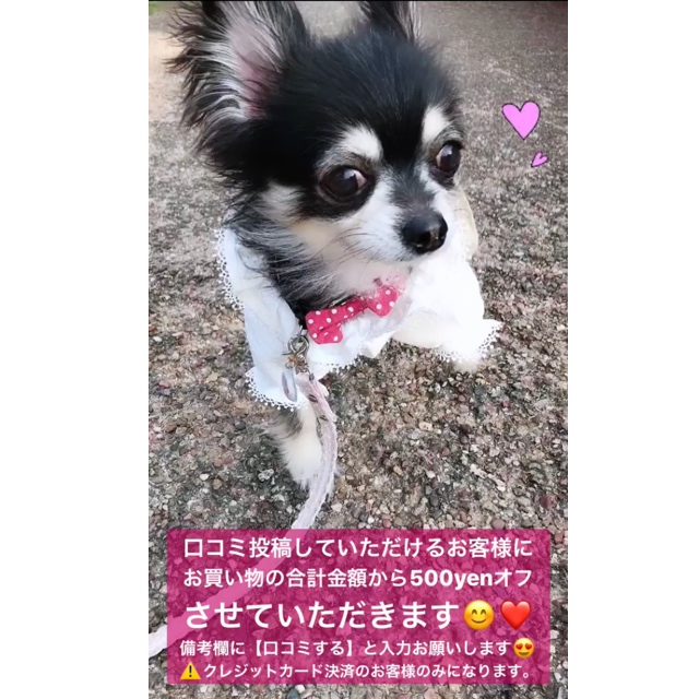 口コミ投稿で500yenオフ！！！
