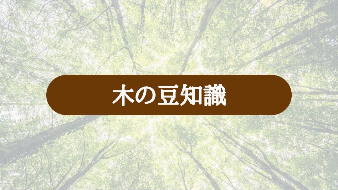 日本には木が何本あるか知っていますか？