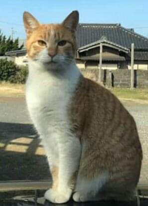 希望