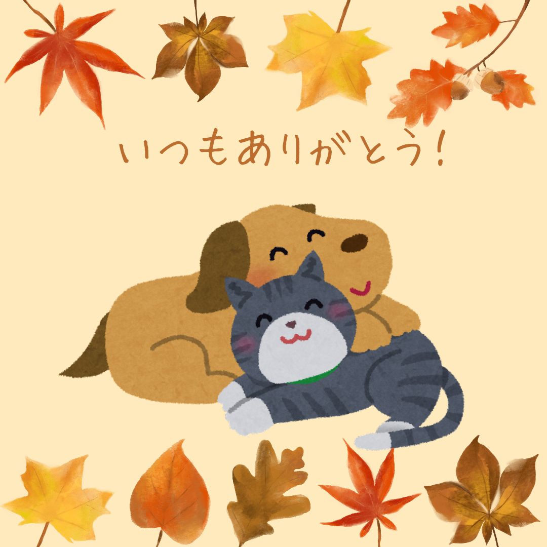 9月寄付のご報告と販売のお知らせです