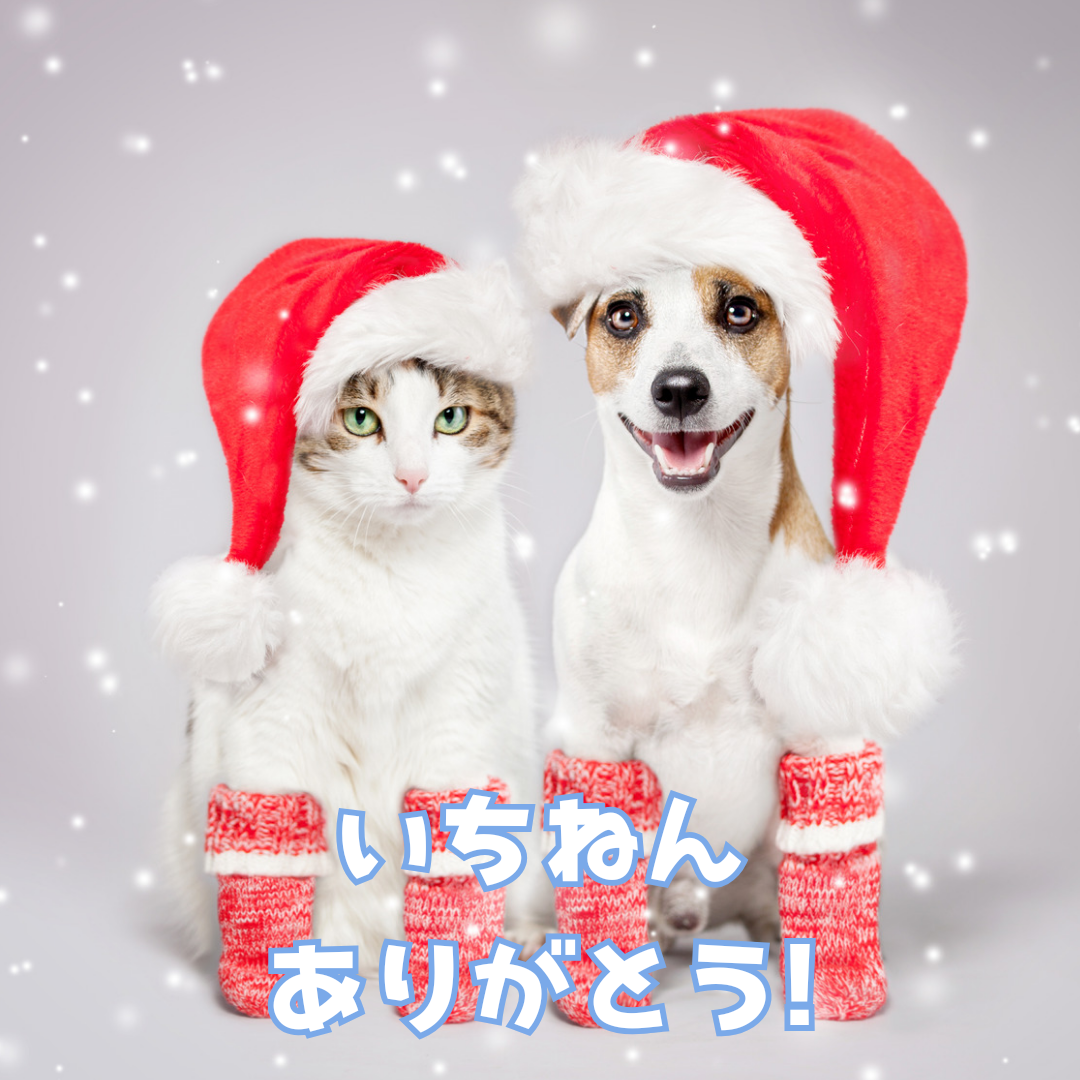 寄付のご報告です～年末まとめ～