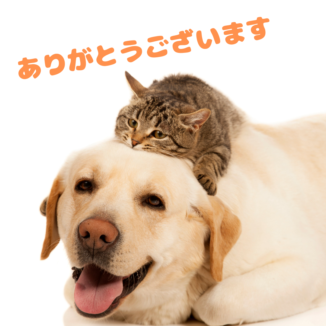 寄付のご報告です！