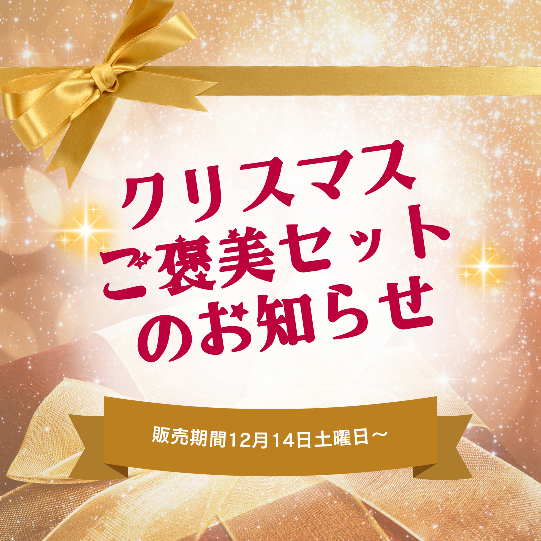 本日販売です！