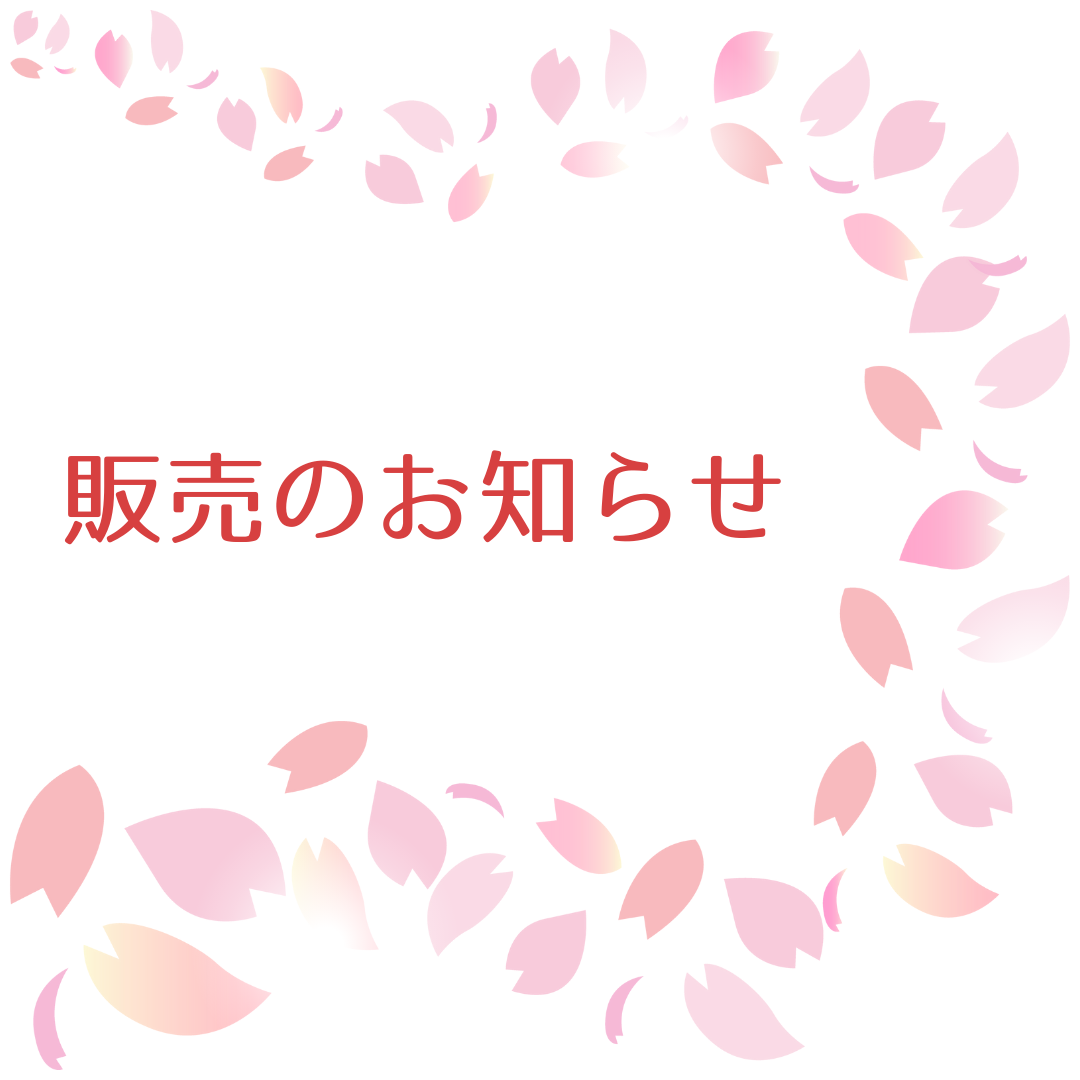 本日販売です！