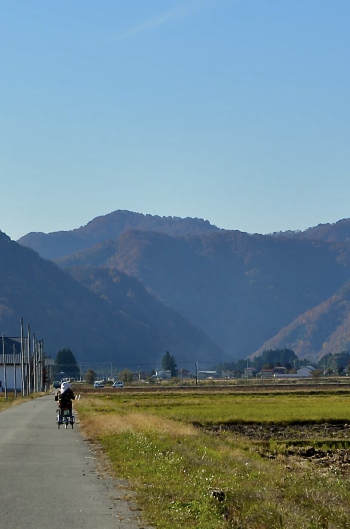 生産圏と商圏（インタビュー記事）