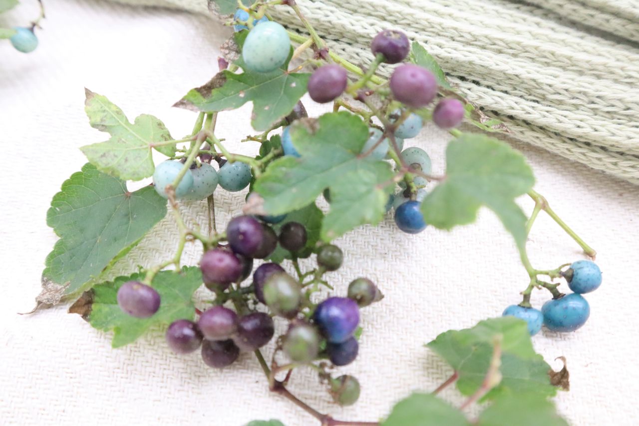 野葡萄染めのレッグウォーマー