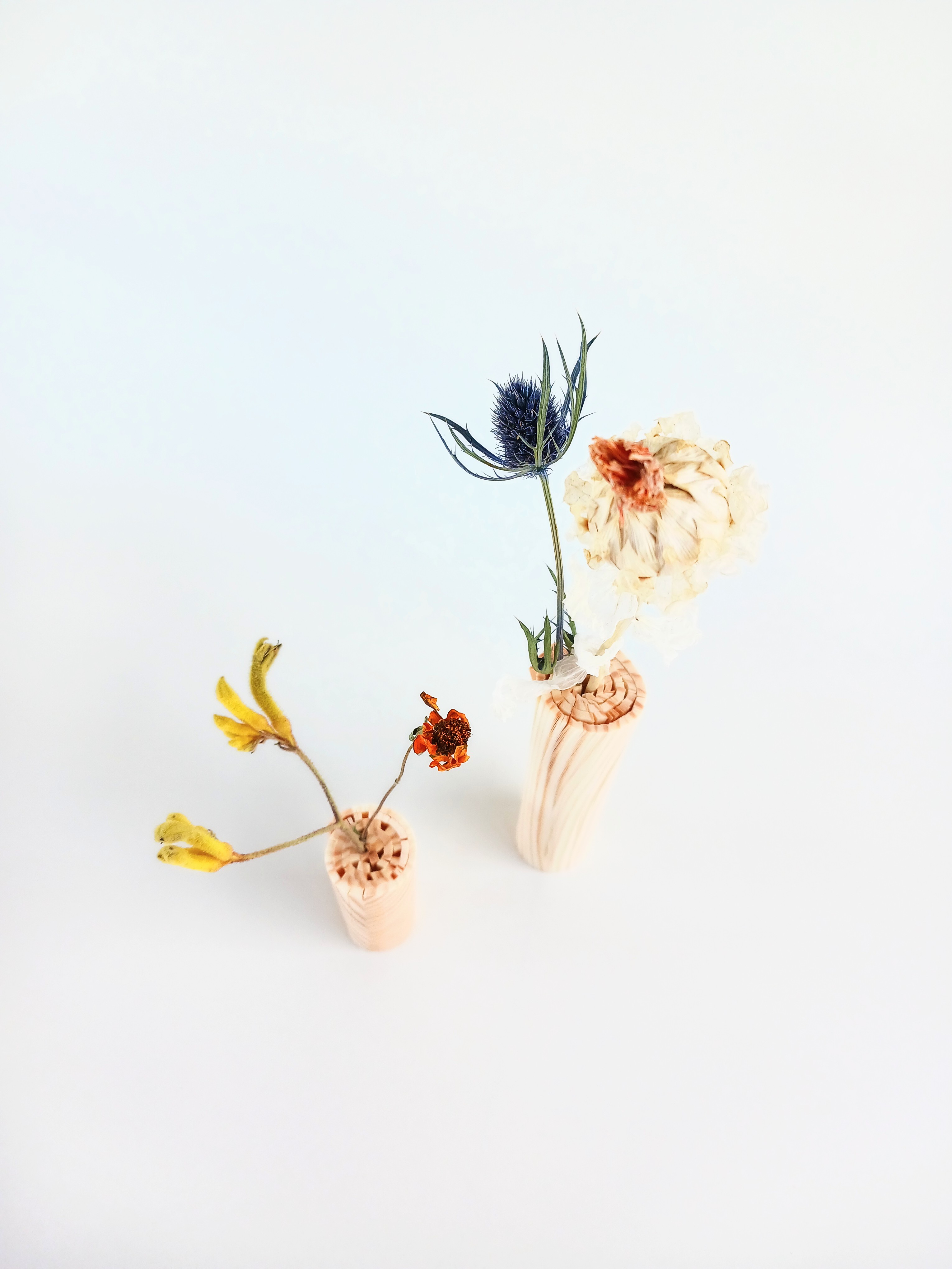 やまとわ×紙束「紙木と花」　