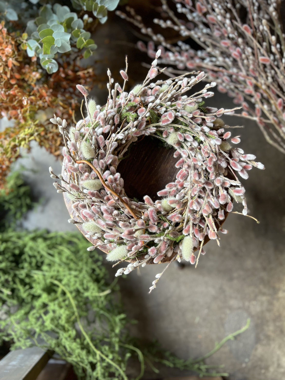 □猫柳フルリース（1/25～2/15）