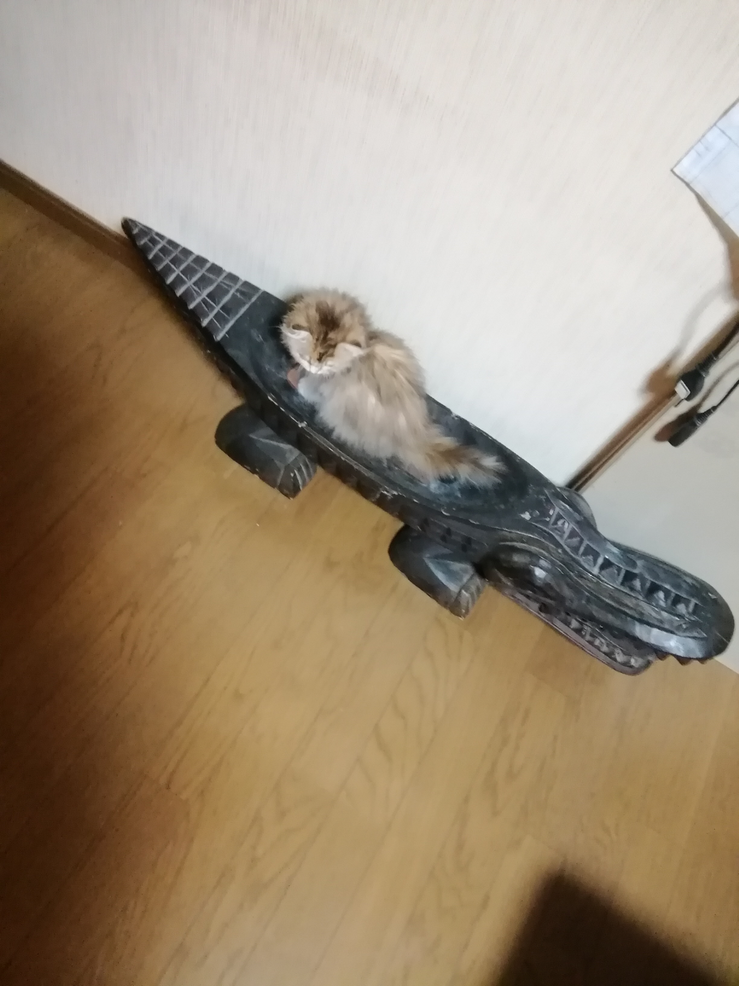新しい方程式と報告