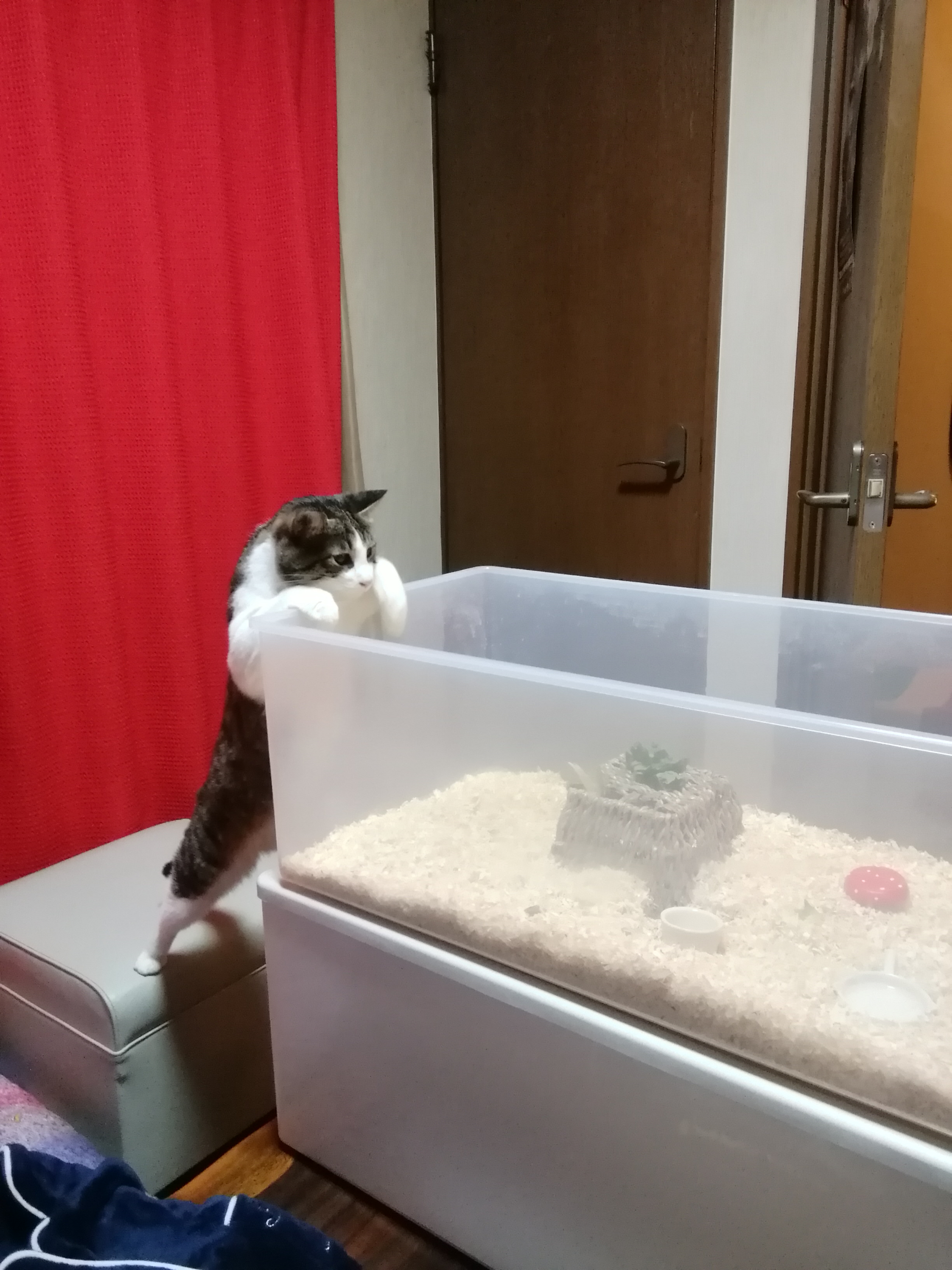 どの山も川も持ちたがる人には