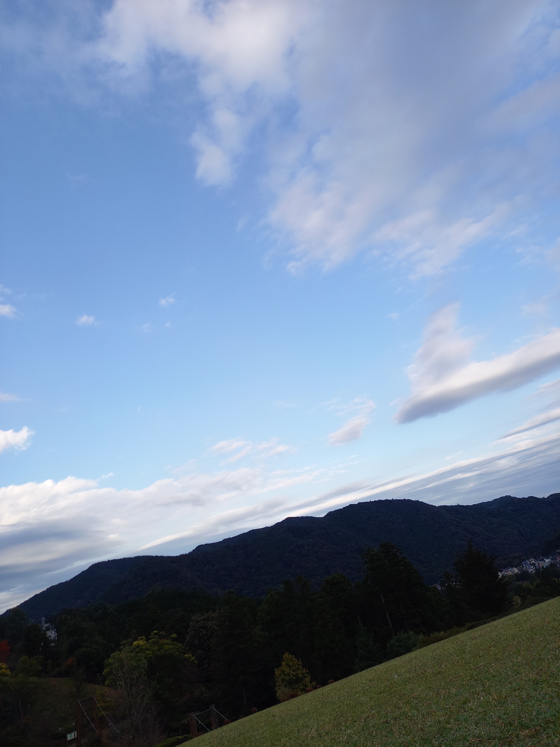 普通のおじさん